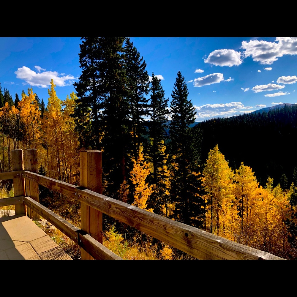 Meet your Posher, Angelica